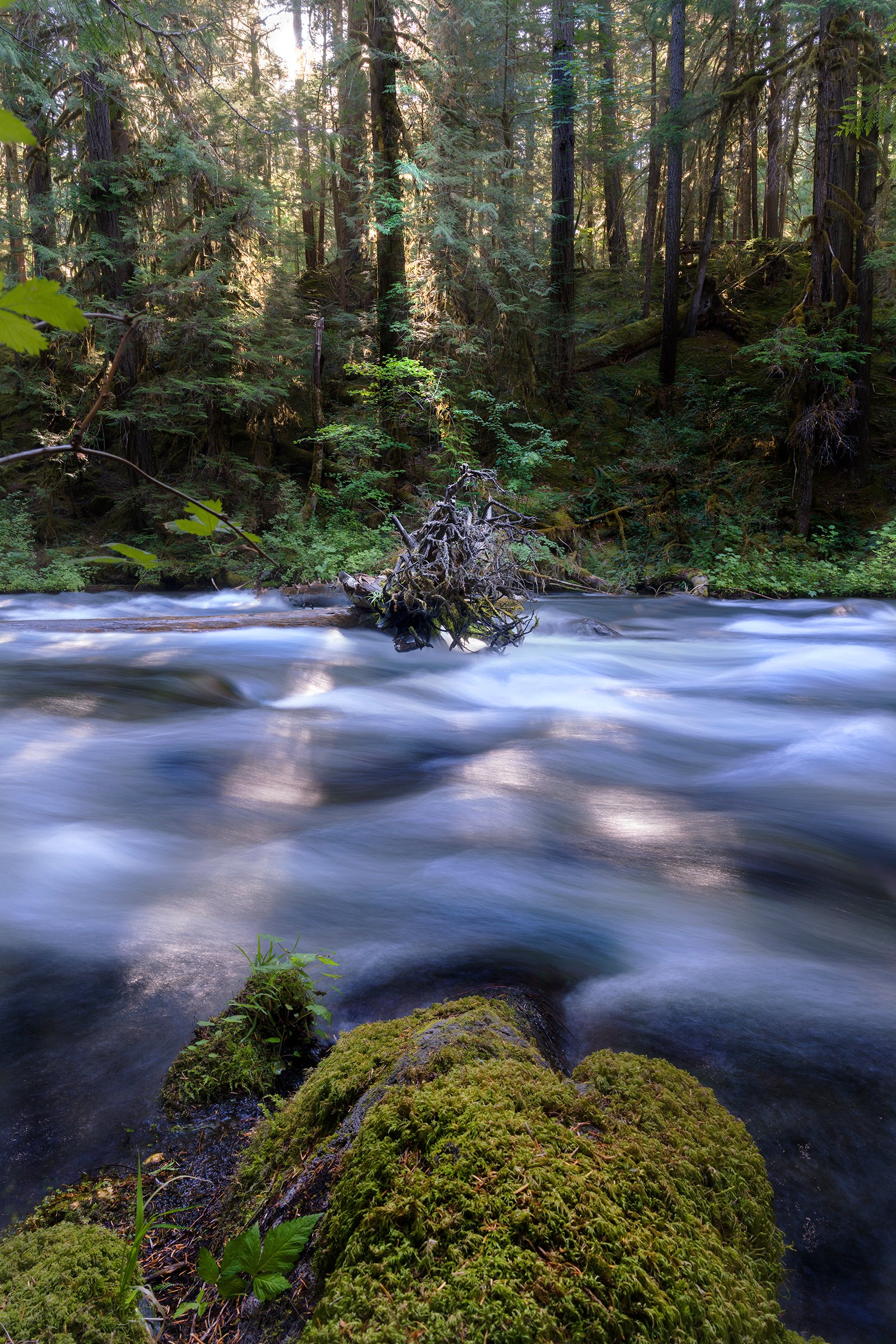 jaron-schneider-petapixel-a7r-iv-review-2.jpg