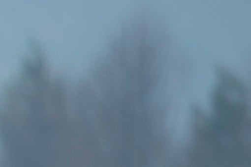 Edge-sharpen_0000__4E10607.tif.jpg