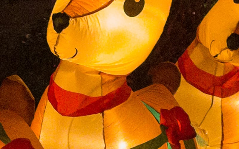 Plain_9_crop.jpg