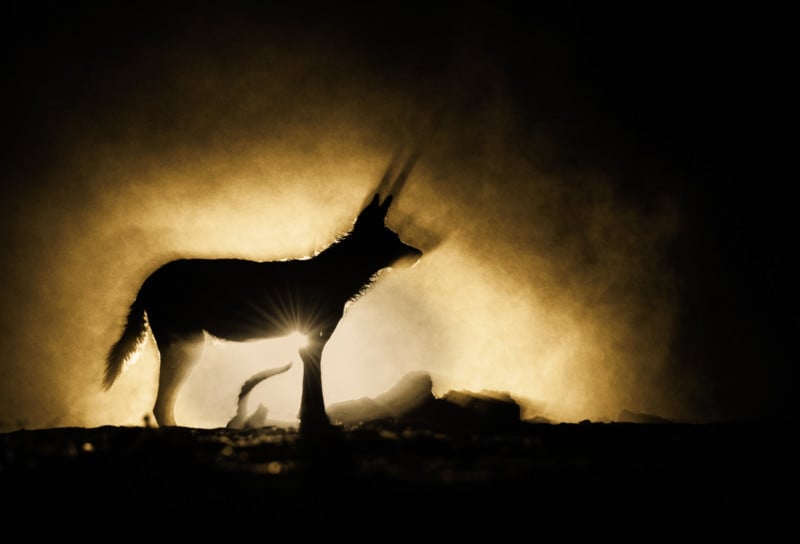 gregdutoit_ShadowandSoul-copy-800x544.jpg