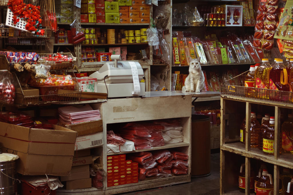 magic_shop_by_draken413o-d37qyzz.jpg