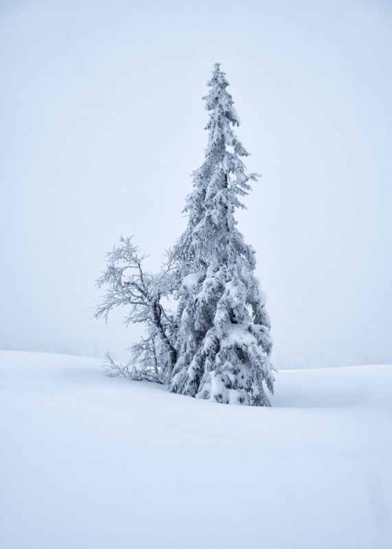 Christian-Hoiberg-Winter-Portraits-1-571x800.jpg