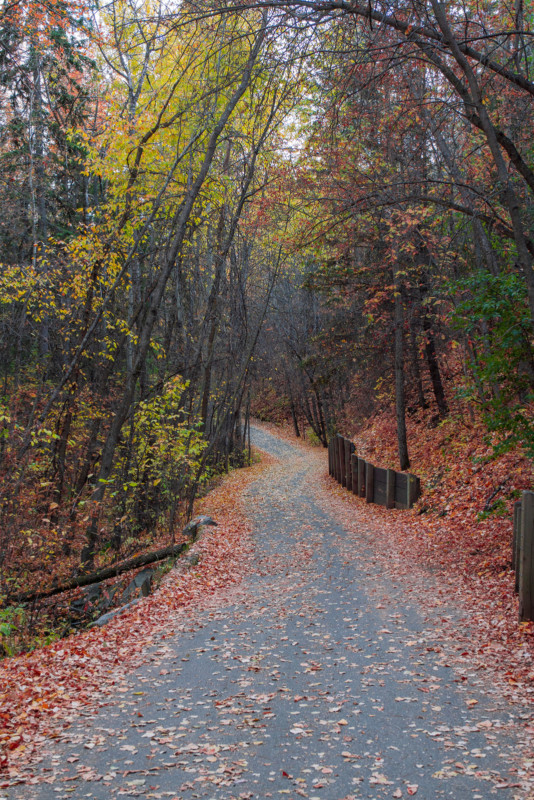 atxm_33_01_1-534x800.jpeg