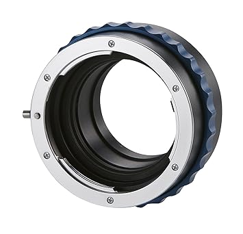 71Xuun5T73L._SX355_.jpg