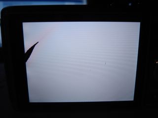 DSC08586.jpg