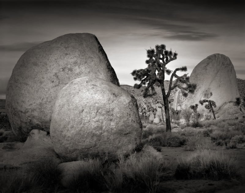 MichaelEGordon_July_Untitled-800x631.jpg