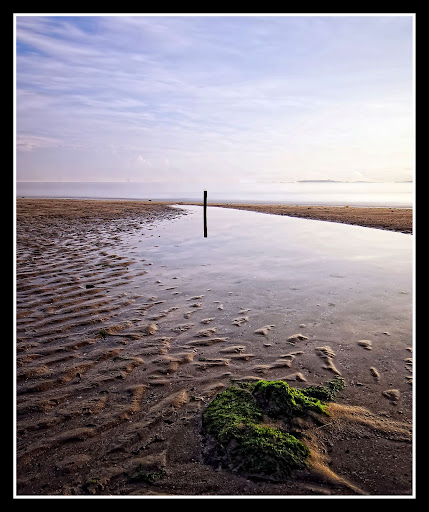 DSC_6226editborder.jpg