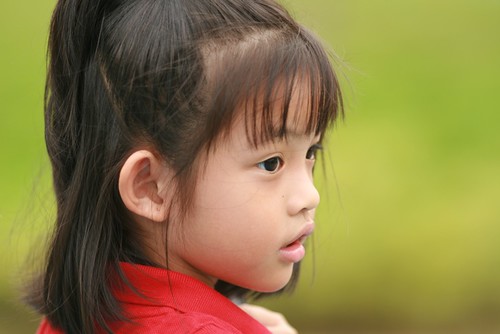 1690084250_d93634403f.jpg