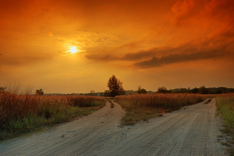 Left_or_Right_by_log1t3ch.jpg