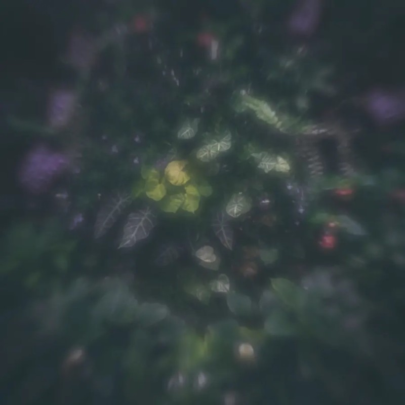 i.shgcdn-800x800.jpeg