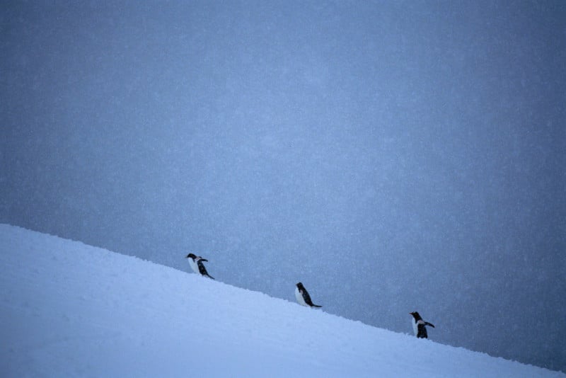 Antarctica_35_E100_19_sRGB-800x534.jpg