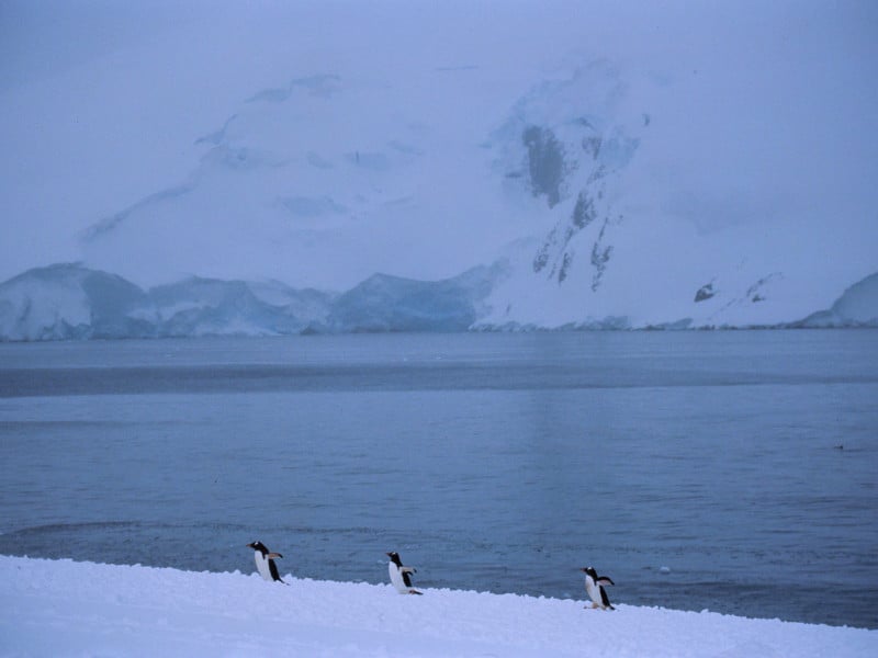 Antarctica_35_E100_24_sRGB-800x600.jpg
