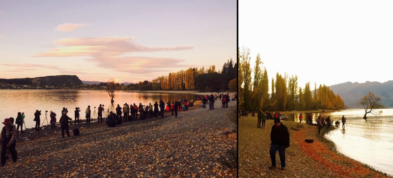 crowds-that-wanaka-tree-new-zealand-instagram-ruining-scenery-places-around-the-world-trashing-nature-photographers-too-many-copyright-eddie-spearing-800x362.jpg