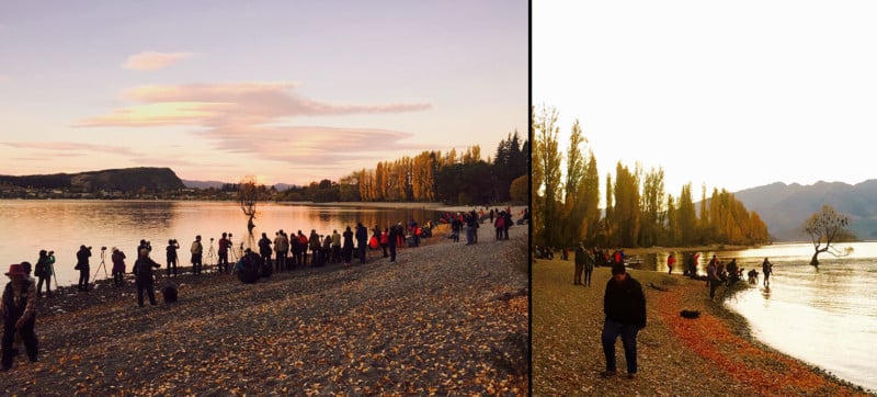 crowds-that-wanaka-tree-new-zealand-instagram-ruining-scenery-places-around-the-world-trashing-nature-photographers-too-many-copyright-eddie-spearing-800x362.jpg