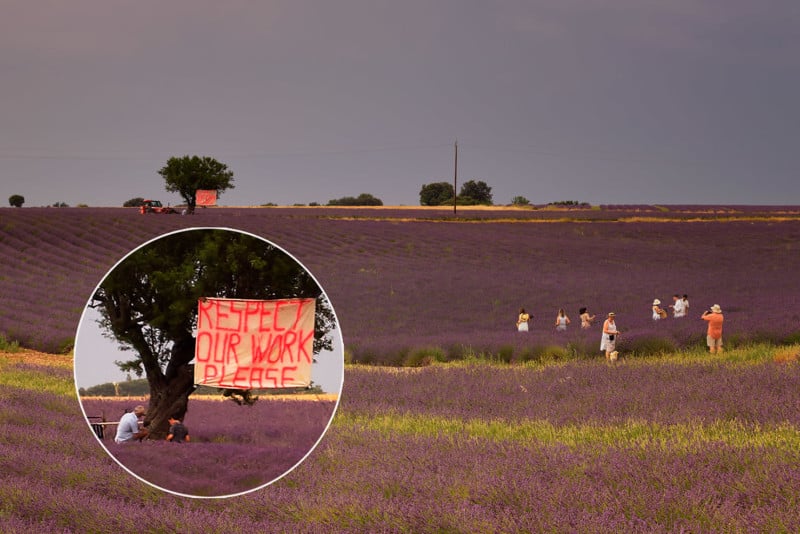 influencers-instagrammers-ruining-selfish-lavender-fields-provence-farmer-sign-tree-plateau-de-valensole-2019-paul-reiffer-photographer-respect-our-work-please-800x534.jpg