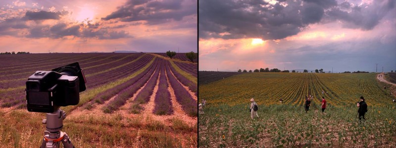 plateau-de-valensole-lavender-sunflowers-fields-france-provence-bad-behaviour-treatment-land-farmers-instagrammers-instagram-ruining-view-influencers-hat-dress-flooded-tourists-800x299.jpg