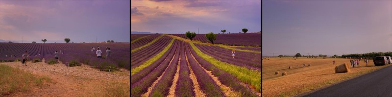reality-of-photographing-lavender-fields-provence-france-valensole-influencers-wannabe-instagram-hats-straw-dresses-workshops-photography-july-summer-800x199.jpg