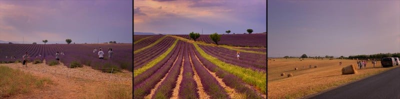 reality-of-photographing-lavender-fields-provence-france-valensole-influencers-wannabe-instagram-hats-straw-dresses-workshops-photography-july-summer-800x199.jpg