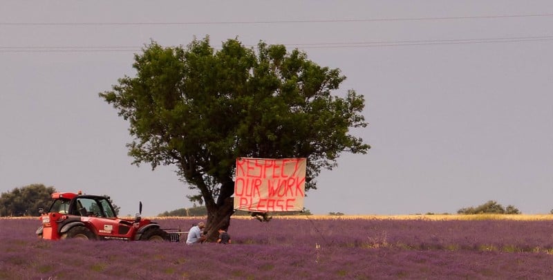 respect-our-work-please-sign-tractor-french-farmer-lavender-field-provence-plateau-de-valensole-instagrammers-ruining-places-scenery-800x405.jpg