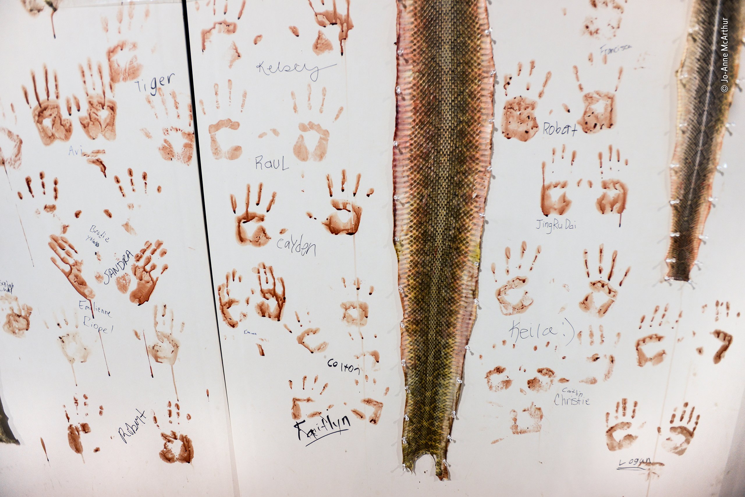 ©-Jo-Anne-McArthur-Wildlife-Photographer-of-the-Year.jpg