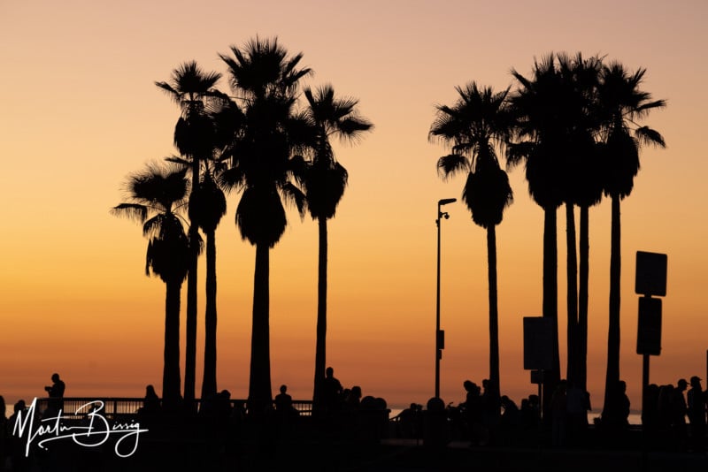 midres-qloom_california_summer20_martin_bissig_1027-800x534.jpg