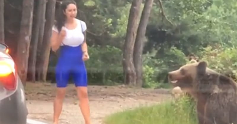 womanphotobear-800x420.jpg
