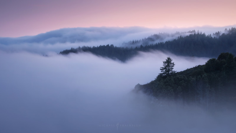 sanfrancisco_fog_landscapephotography_2020_16-800x450.jpg