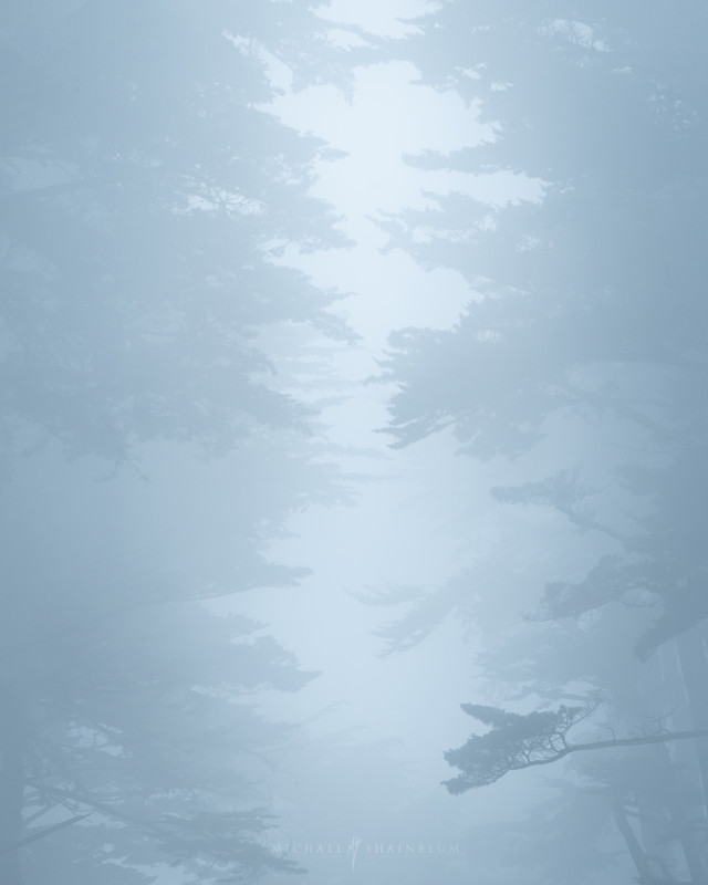 sanfrancisco_fog_landscapephotography_2020_24-640x800.jpg