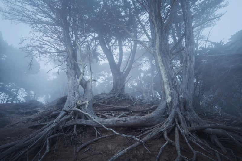 sanfrancisco_fog_landscapephotography_2020_28-800x533.jpg