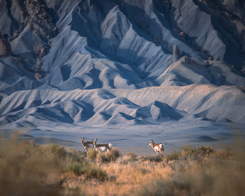 southwest_desert_landscape_photography_utah_2020_16-800x640.jpg