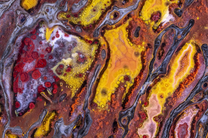 0405_Dinosaur-Bone-x30-by-Norm-Barker-ASIS-FRPS-800x533.jpg