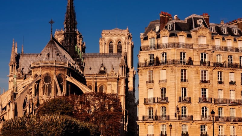 Composition-Filling-the-Frame-Notre-Dame-de-Paris-800x451.jpg