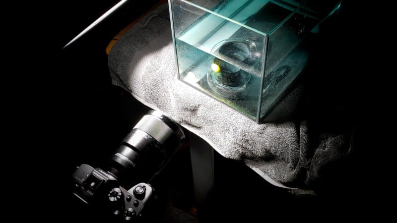 BTS-MnM.00_01_59_02.Standbild001-800x450.jpg