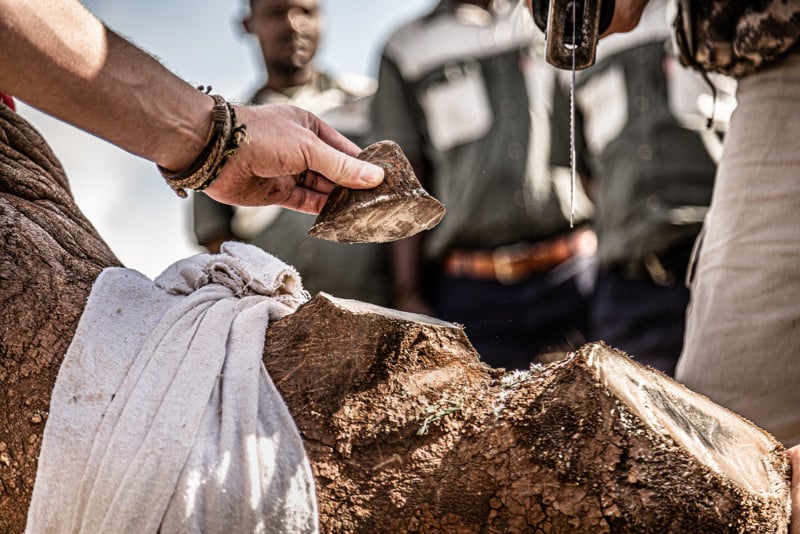 GOLD-©-Gunther-De-Bruyne_21st-century-rhino-conservation-800x534.jpg