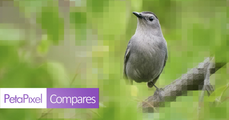 PetaPixel-Compares-Photoshop-Super-Resolution-VS-Topaz-Gigapixel-AI-800x420.jpg