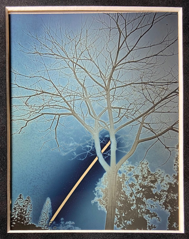Sun_To_Tree_4x5_Daguereotype_Anton_Photo_Palace_2_1-633x800.jpg