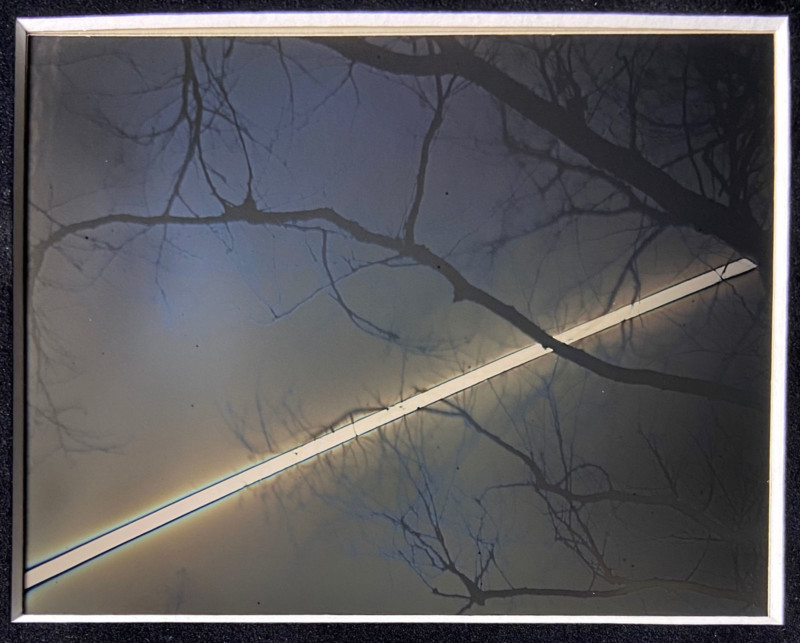 Sun_To_Tree_4x5_Daguereotype_Anton_Photo_Palace_3_1-800x643.jpg