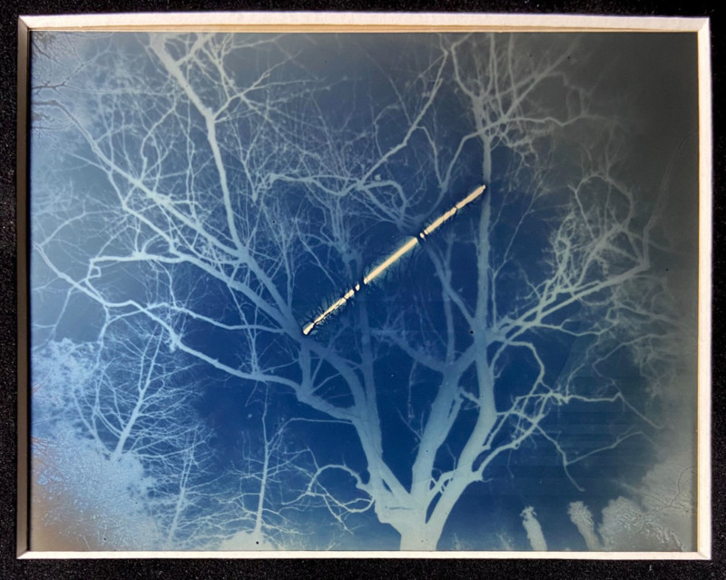 Sun_To_Tree_4x5_Daguereotype_Anton_Photo_Palace_4_1-800x639.jpg