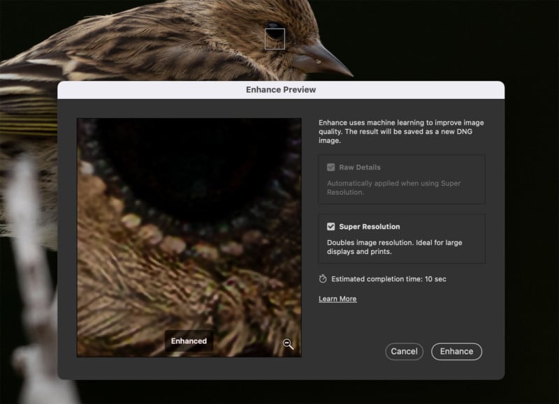 adobe-camera-raw-enhance-preview-super-resolution-window-800x579.jpg