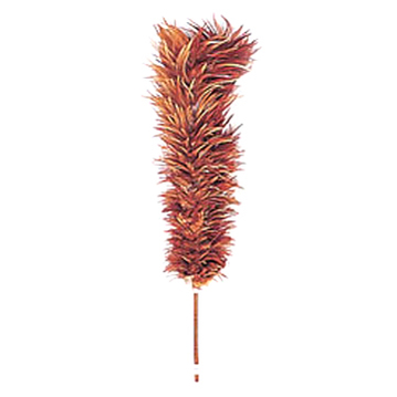 Feather_Duster.jpg