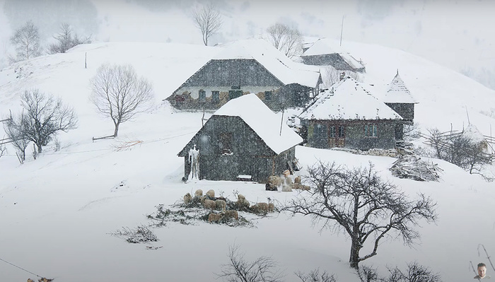 7 Tips for Better Winter Photos 7 Tips for Better Winter Photos