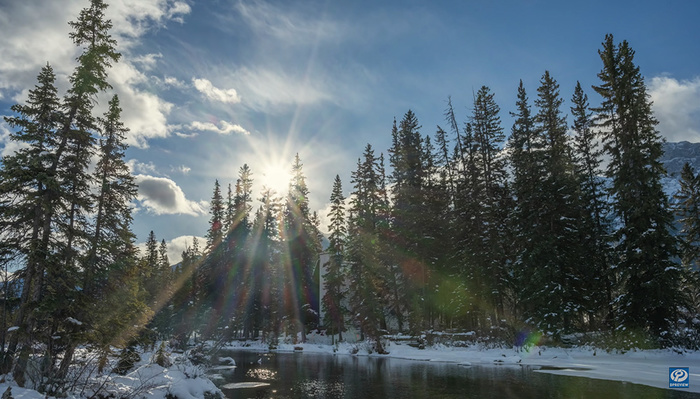 A Review of the Nikon Z 7II Mirrorless Camera A Review of the Nikon Z 7II Mirrorless Camera