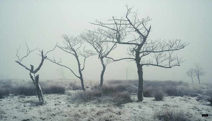 Compositional Advice for Landscape Photography Compositional Advice for Landscape Photography