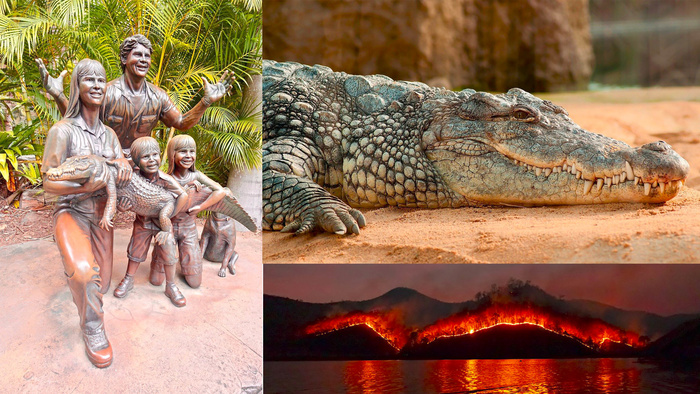 Crikey! Steve Irwin's Son Wins Prestigious Photography Award Crikey! Steve Irwin's Son Wins Prestigious Photography Award