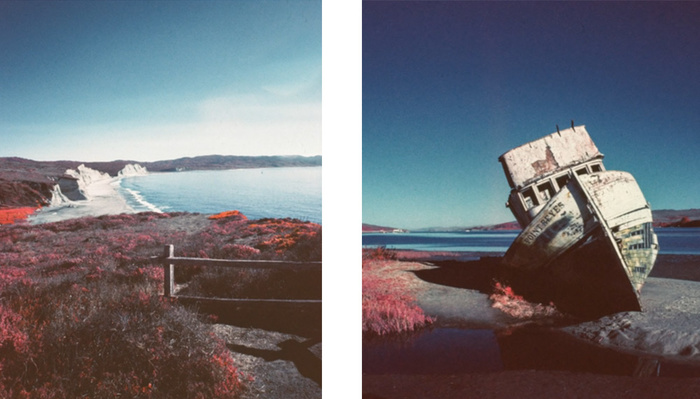 What Would You Shoot With One of the Few Remaining Rolls of Kodak Aerochrome? What Would You Shoot With One of the Few Remaining Rolls of Kodak Aerochrome?