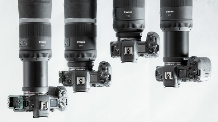 Fstoppers Reviews the Canon RF 600mm and RF 800mm Fstoppers Reviews the Canon RF 600mm and RF 800mm