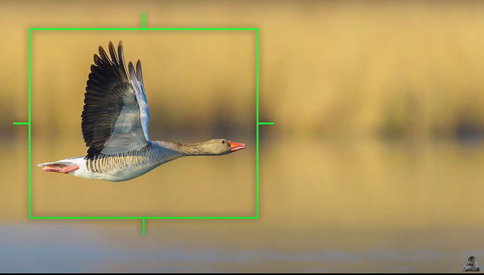 What Will It Take for Olympus Cameras to Succeed? What Will It Take for Olympus Cameras to Succeed?
