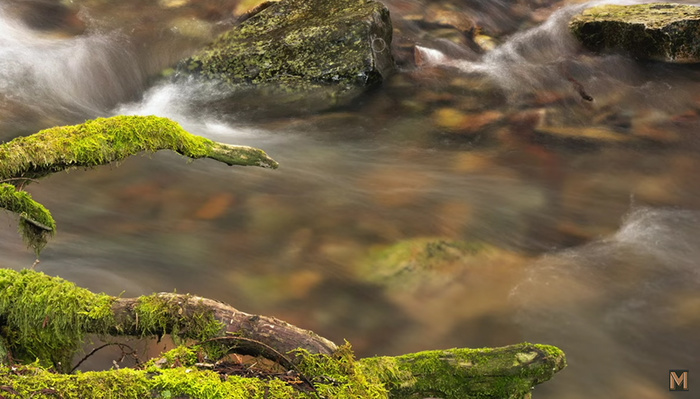 When, Why, and How to Use Focus Stacking for Better Images When, Why, and How to Use Focus Stacking for Better Images