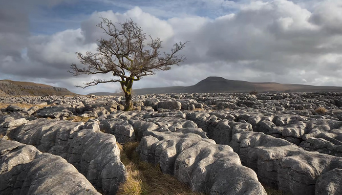 7 Common Landscape Photography Editing Mistakes 7 Common Landscape Photography Editing Mistakes