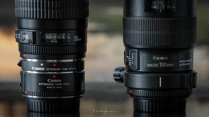 Which Is the Better Choice, A Macro Lens or Extension Tubes? Which Is the Better Choice, A Macro Lens or Extension Tubes?